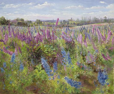 Delphiniums and Poppies, 1991 by Timothy Easton